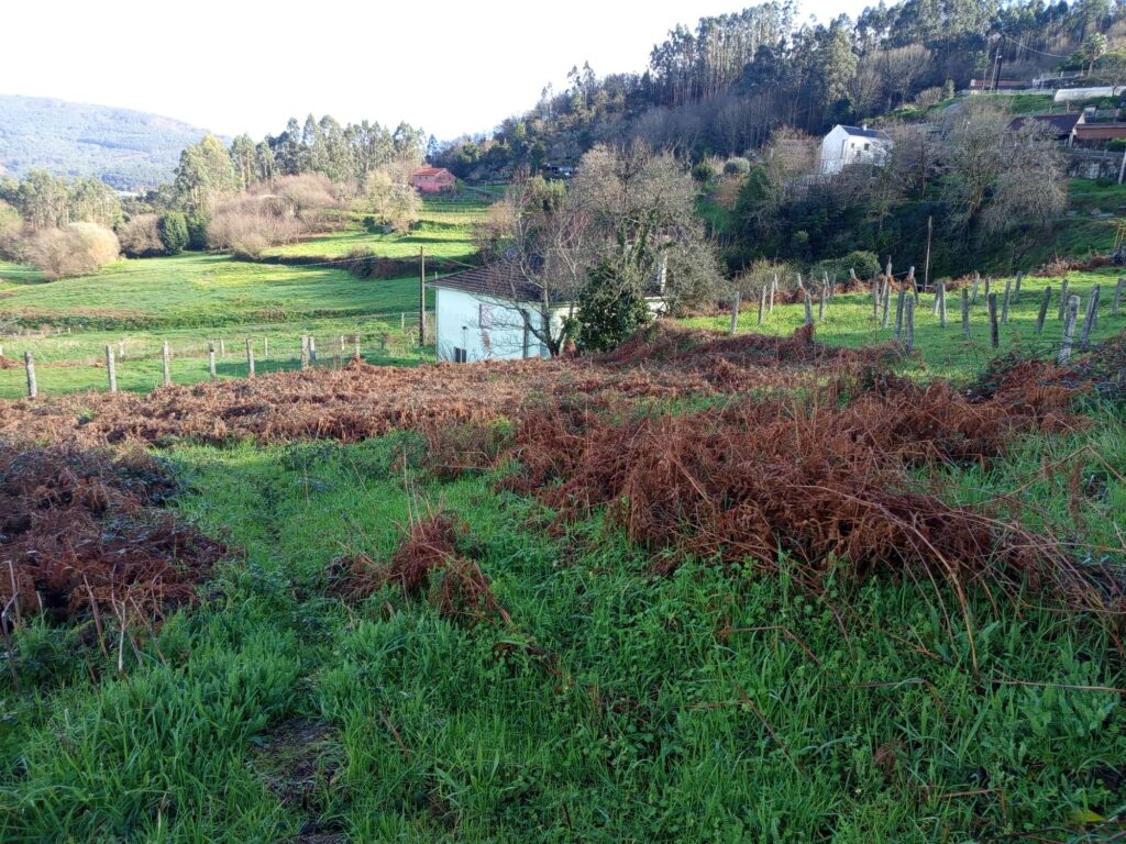 CASA BARRO 4.