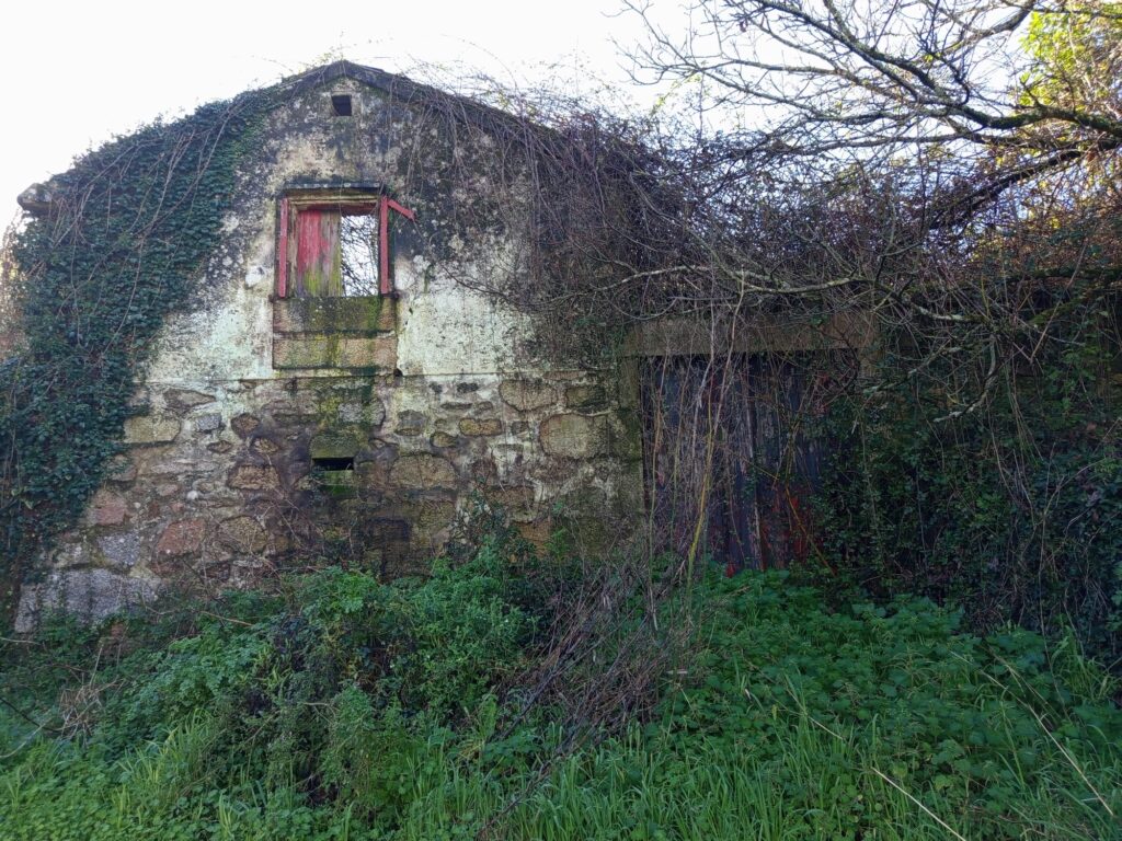 CASA BARRO 5