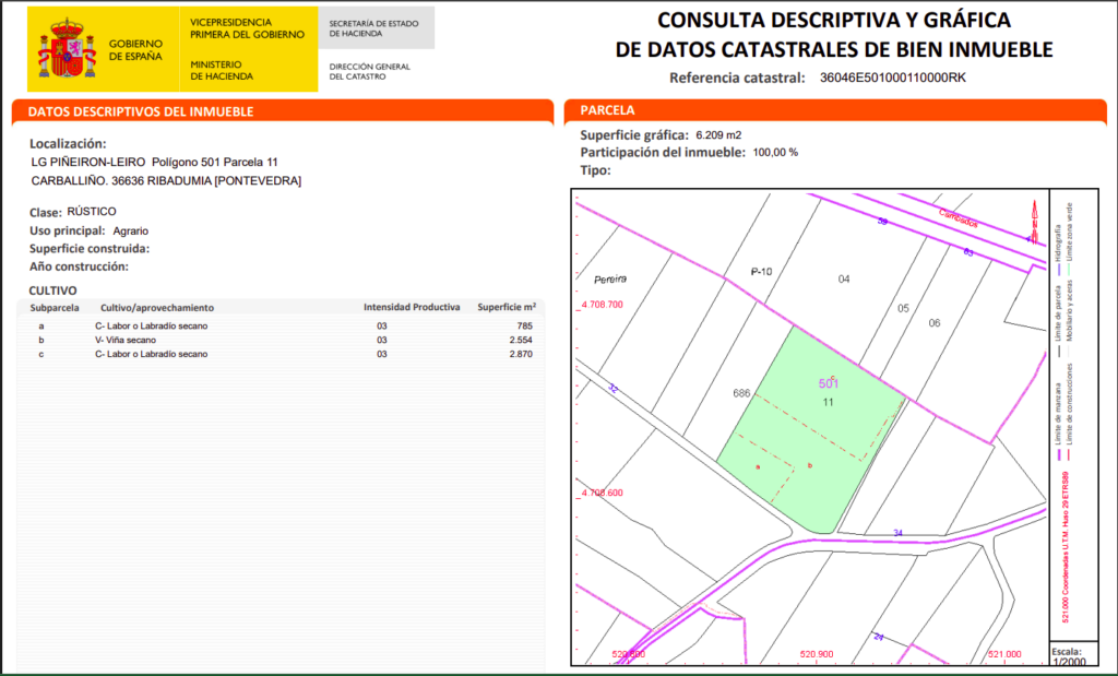 FINCA RUSTICA LEIRO RIBADUMIA